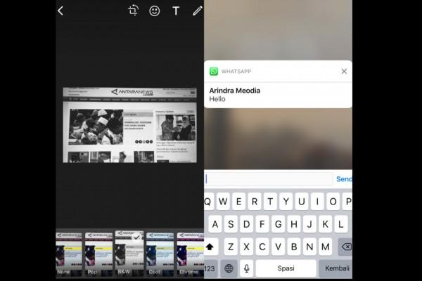 WhatsApp Tambah Tiga Fitur Baru untuk iOS