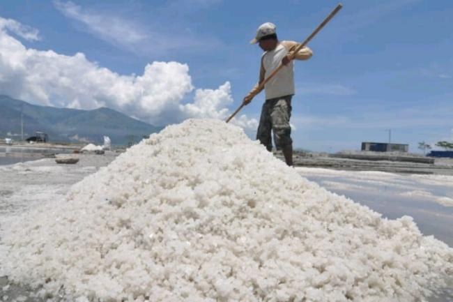 Lingga Bangun Industri Pembuatan Garam