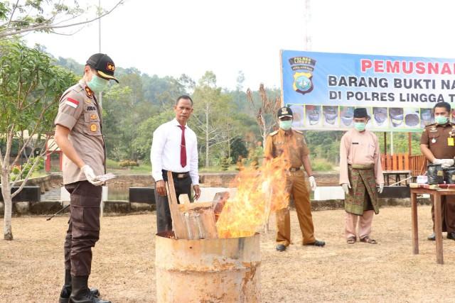 Polres Lingga Musnahkan Biji dan Puluhan Bibit Ganja