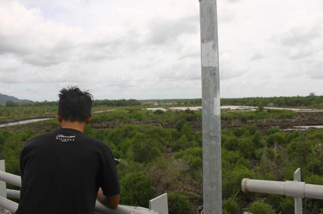 200 Hektare Hutan Lindung dan Mangrove Akan Disulap Jadi Tempat Wisata Budaya  