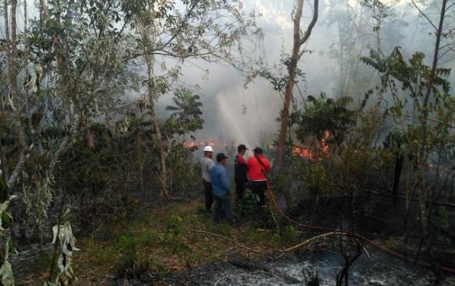 Lahan Seluas 100 Hektare Terbakar di Bintan, Polsek Gunung Kijang Dikepung Api