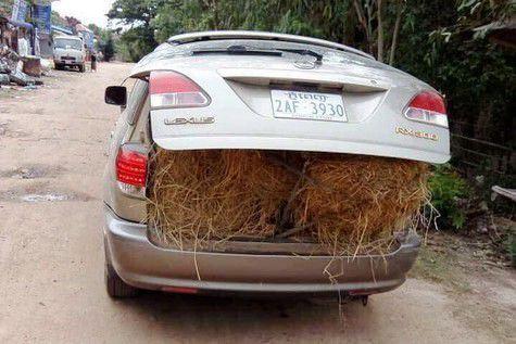 Petani Kamboja Gunakan Mobil Mewah Lexus untuk Angkut Jerami