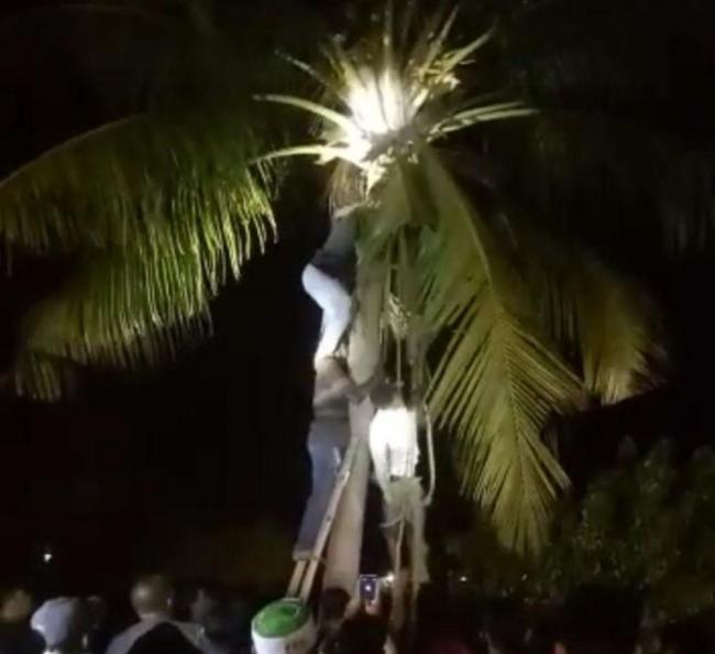 Geger, Jasad Tergantung di Pohon Kelapa Pantai Kuda Laut Karimun