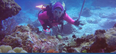 Terumbu Karang Raja Ampat Hancur Lebur Dihajar Celedonian Sky