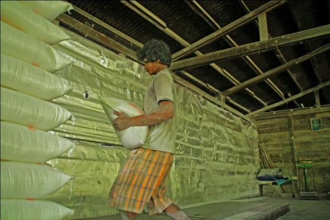 Sagu di Lingga Miliki Prospek Bagus untuk Dikembangkan