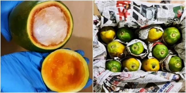 Penyelundup Sembunyikan Narkotika Bernilai Miliaran Rupiah di dalam Pepaya