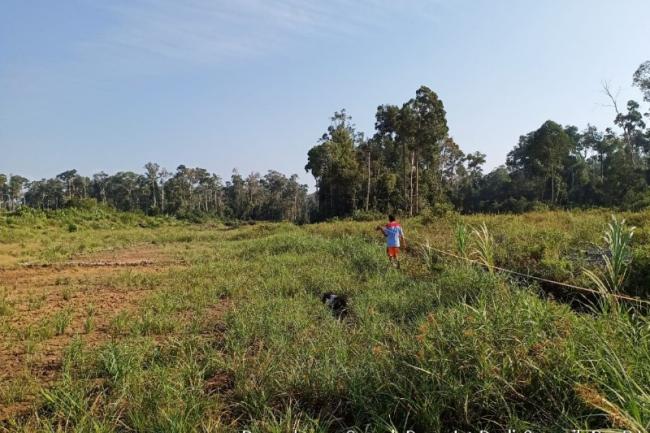 Sawah Bukit Langkap di Lingga Kekeringan, Petani Tanam Sayur di Pematang