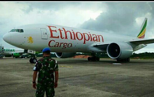 Foto-foto Pesawat Ethiopian Cargo Usai Disergap Jet Tempur TNI AU
