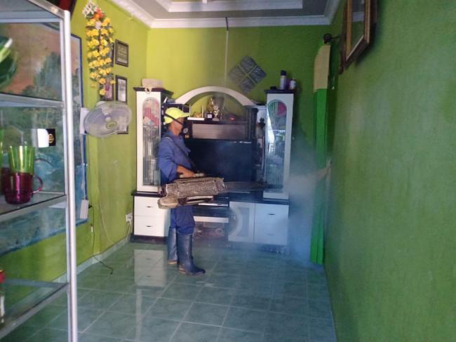 Awal Tahun DBD Merajalela, Dinkes Batam Kerahkan Tim Fogging