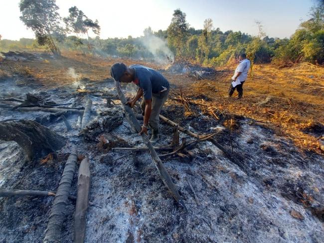 Bakar Hutan di Galang untuk Buka Kebun, RJ Diangkut Aparat