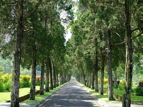 Wah, Kota di Kepri Tak Masuk Jajaran 10 Kota Tersehat