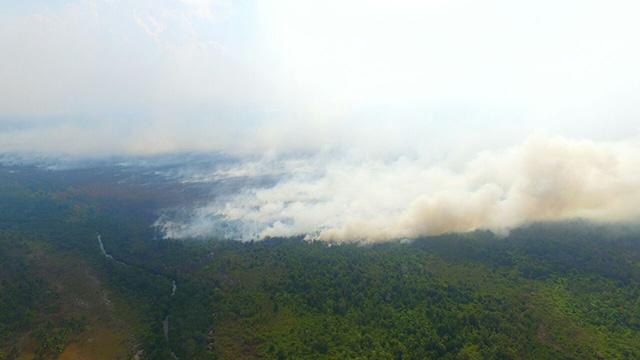 Kabut Asap Selimuti Ranai, Jarak Pandang Hanya 2 Kilometer