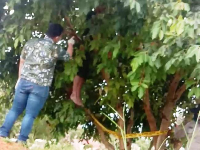 Mayat Leher Tersangkut di Dahan Pohon Kuburan, Polisi: Murni Bunuh Diri 