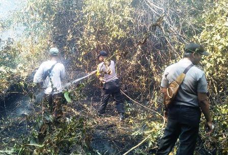 Rawan Terbakar, Polisi Awasi Lahan Gambut di Karimun
