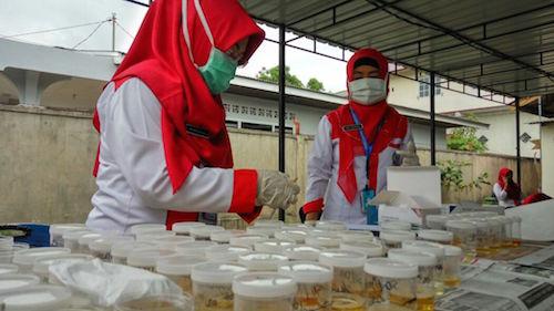 BNN Mendadak Tes Urine Ratusan Guru di Tanjungpinang