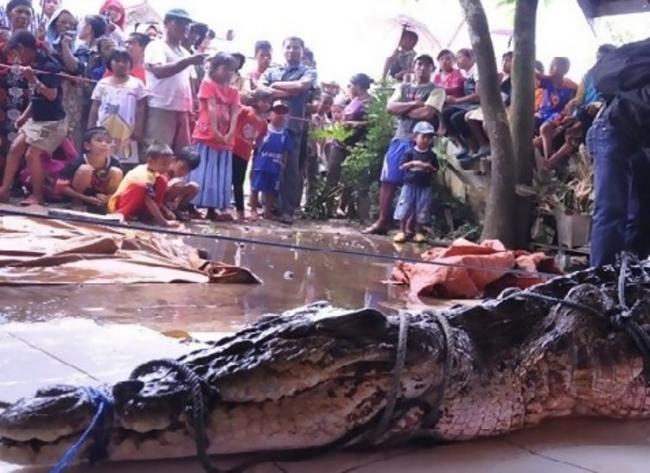Pemancing Diterkam Buaya, Tangan dan Kepala Hilang