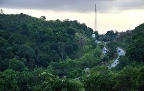 Duh, Hutan Konservasi di Batam Terancam Hilang