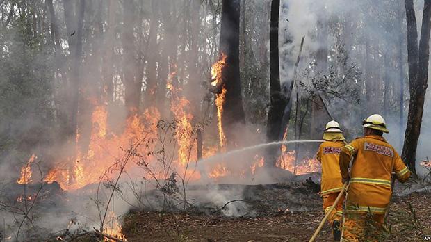 DPR Minta Kapolda Dicopot Karena Stop Kasus Pembakaran Hutan di Riau