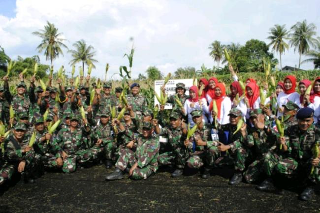Panen Raya, Lanal Dabo Bagi 2,7 Ton Jagung Untuk Prajurit
