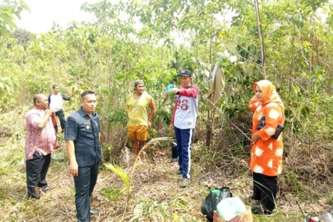 Nizar Ingin Perkebunan Kelapa di Pulau Talas Kembali Digiatkan