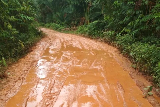 Nizar Kerahkan Alat Berat Perbaiki Akses Jalan Berlumpur di Lingga