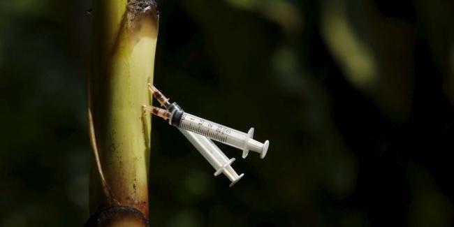 Seks Bebas dan Jarum Suntik Narkoba, Biang HIV di Bintan