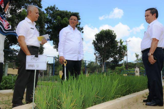 Bupati Apri Bikin Sendiri Kemasan Beras Asli Bintan