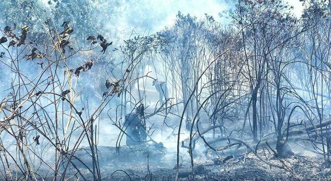Sulasmi Kocar-kacir Kebakaran Lahan Menjalar ke Rumahnya