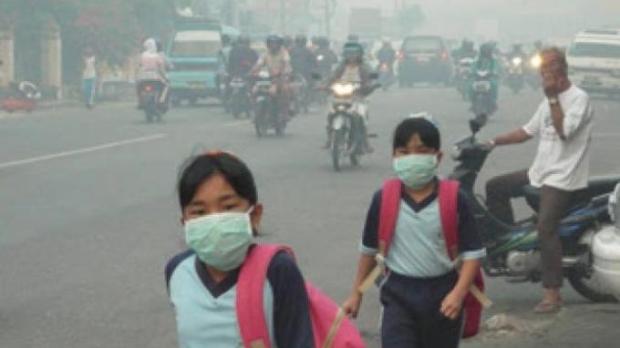 Perusahaan Pembakar Hutan Bebas, Hakim PN Palembang Diadukan ke KY