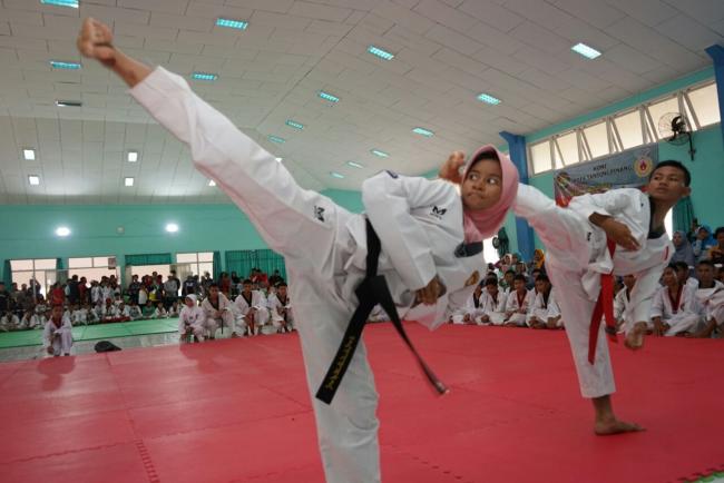 Tanjungpinang Bisa Selenggarakan Kejuaraan Taekwondo Tingkat Nasional