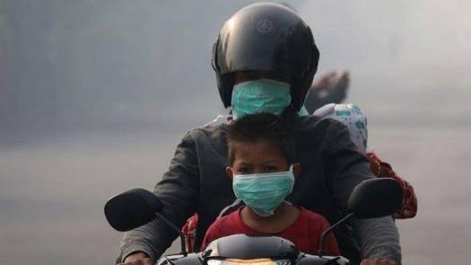 Kabut Asap di Riau, Bisnis Masker Laris Manis