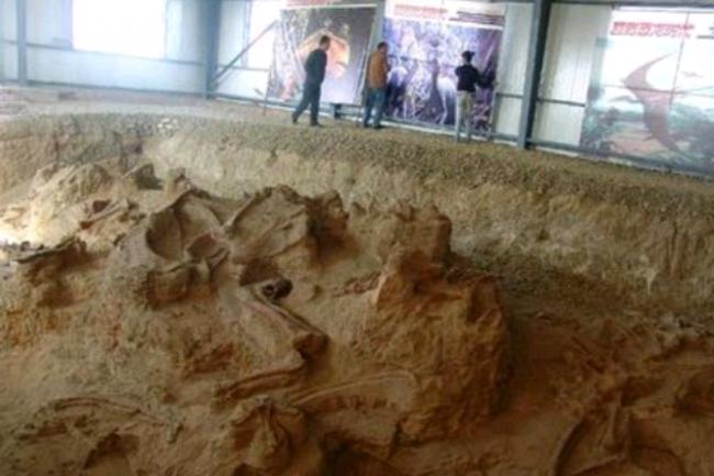 Peneliti Temukan Jejak Kulit Kaki Dinosaurus di Korea