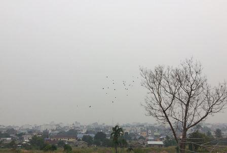 Kabut Asap di Karimun Mulai Bikin Nafas Makin Sesak