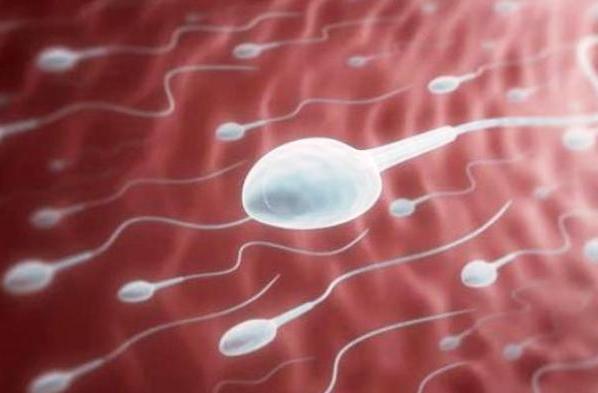 5 Cara Ampuh Bikin Sperma Sehat dan Subur