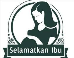 Angka Kematian Ibu Melahirkan di Kepri Tinggi, Ini Tindakan BKKBN