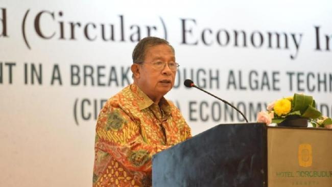 Ada Pabrik Hengkang dan PHK di Batam, Ini Respons Darmin