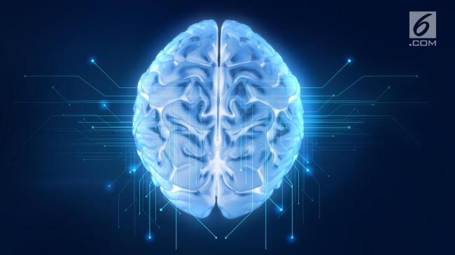 Ini 6 Tips Mudah untuk Mempertajamam Memori Otak Anda