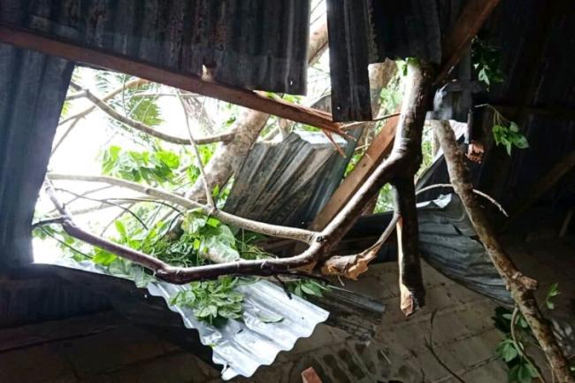Cuaca Buruk, Dua Rumah Warga Teluk Bintan Rusak Tertimpa Pohon