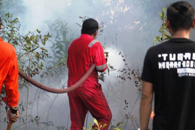 Sejak Januari, 61 Titik Api Terdeteksi di Karimun