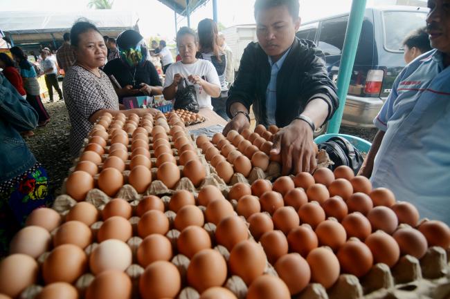 Harga Telur Melonjak Selama Piala Dunia, Ini Alasan Kementan