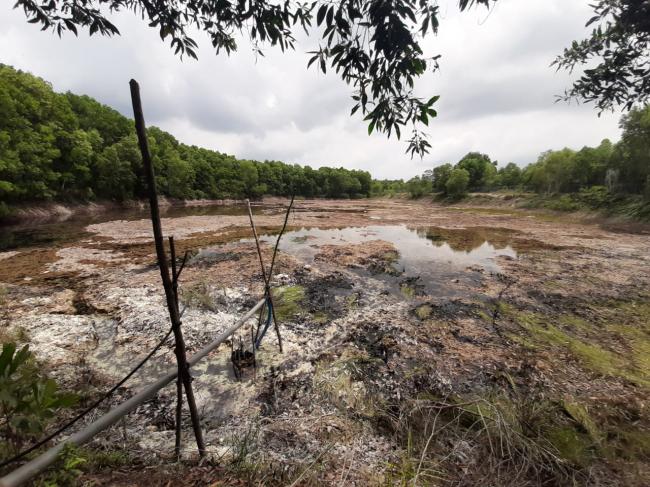 Dilanda Panas, Waduk di Tanjungbatu Kering