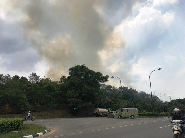 Hutan dekat Bandara Hang Nadim Terbakar Lagi