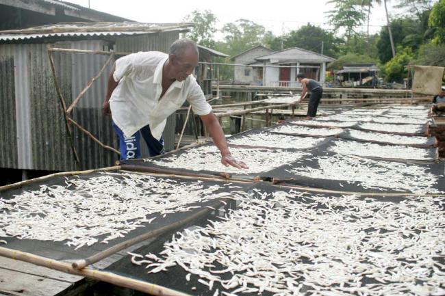 Pemerintah Kepri Kucurkan Dana Rp 5 Miliar untuk Nelayan