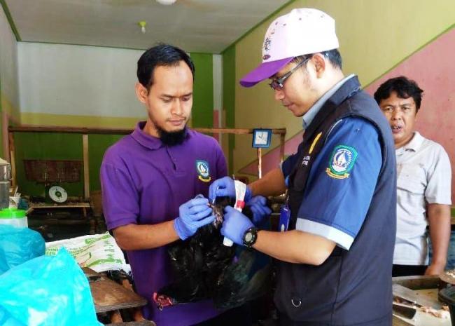 DKPP Bintan Pantau Kesehatan Daging Ayam di Pasaran