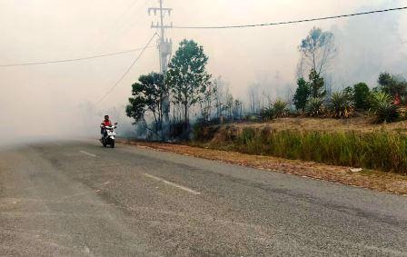 Asap Tebal Selimuti Jalur Lintas Barat Bintan, Jarak Pandang Cuma 5 Meter