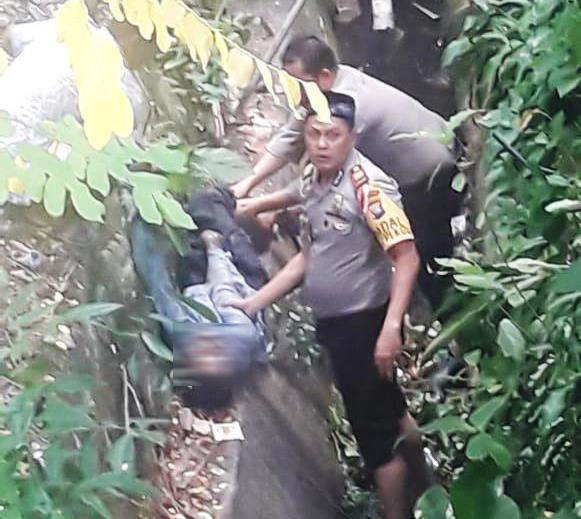 Pria Tanjungpinang Tewas Jatuh dari Pohon Mangga