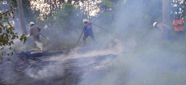 Kebakaran Lahan Disengaja Bikin Kapolres Bintan Geram