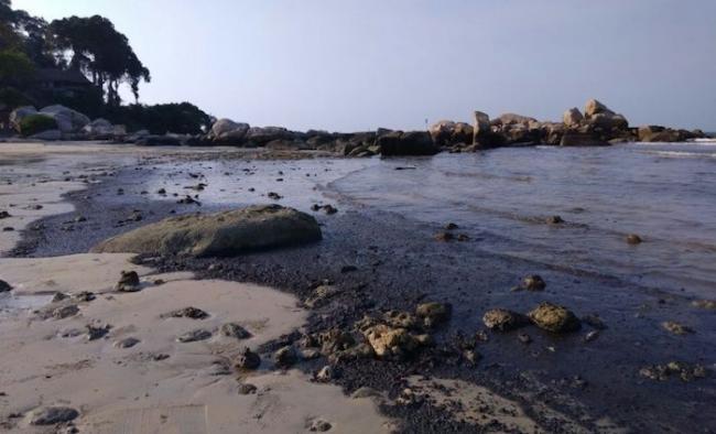 Limbah Musiman Sludge Oil Hantui Pantai Bintan Tiap Musim Utara