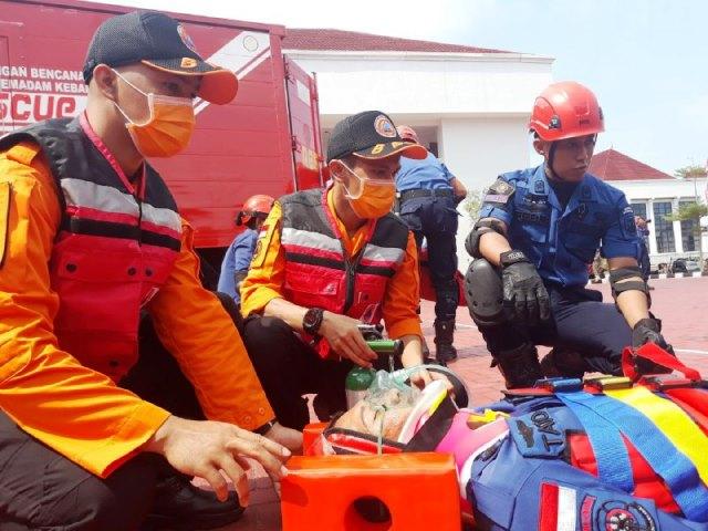 Ada Sarang Tawon Membahayakan? Silakan Anda Hubungi Petugas Damkar