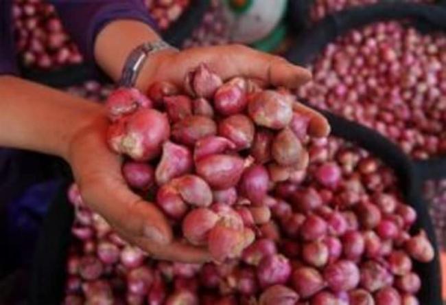 Polda: Tak Ada Bawang Thailand di Batam